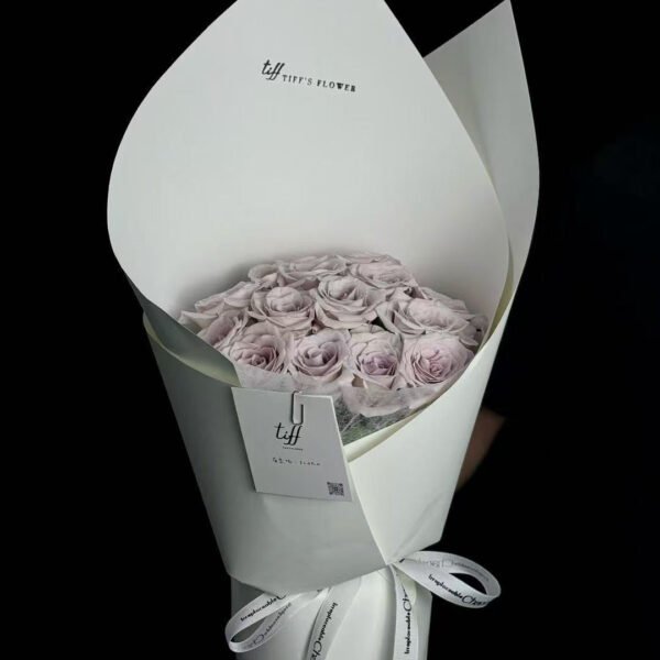 Texture Manta(Anchor development)